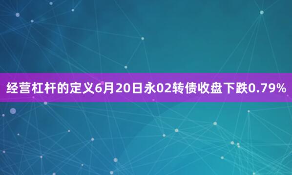经营杠杆的定义6月20日永02转债收盘下跌0.79%
