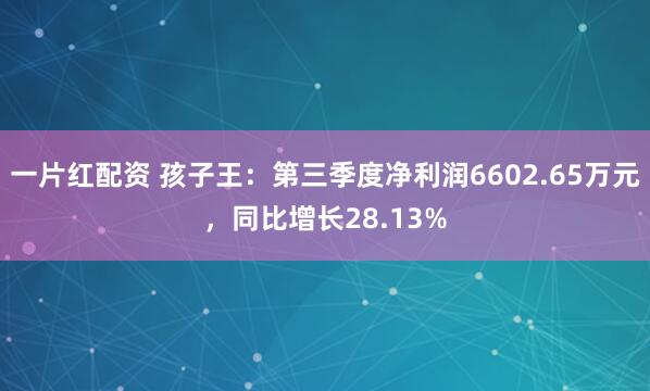 一片红配资 孩子王：第三季度净利润6602.65万元，同比增长28.13%