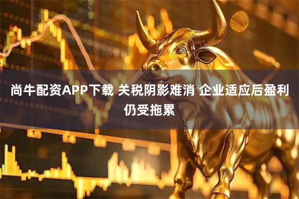 尚牛配资APP下载 关税阴影难消 企业适应后盈利仍受拖累
