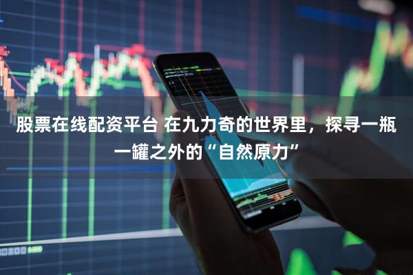 股票在线配资平台 在九力奇的世界里，探寻一瓶一罐之外的“自然原力”